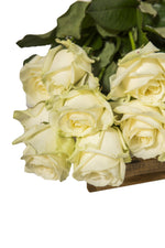 Indlæs billede til gallerivisning Hvide Roser
