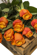 Indlæs billede til gallerivisning Orange Roser

