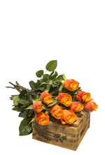 Indlæs billede til gallerivisning Orange Roser
